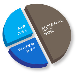 Optimum soil conditions require 25% air. Saturated soil means water has replaced much of the void spaces where air and oxygen would normally circulate.