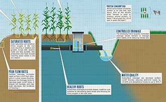 Increasing agricultural efficiency