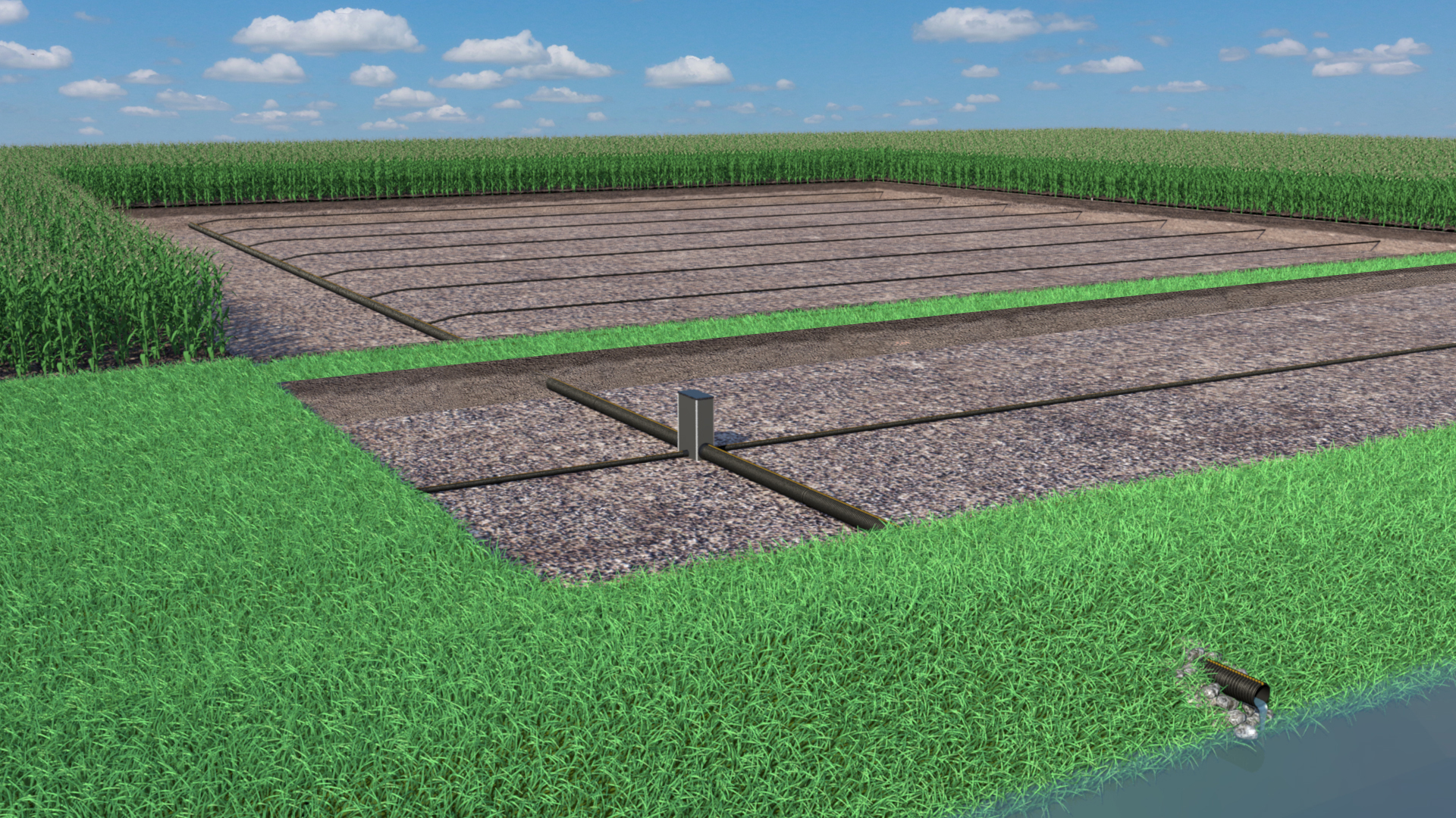 When planning your buffer strips, consider the benefits of saturated